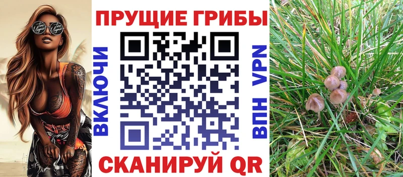 Галлюциногенные грибы ЛСД  Шилка 